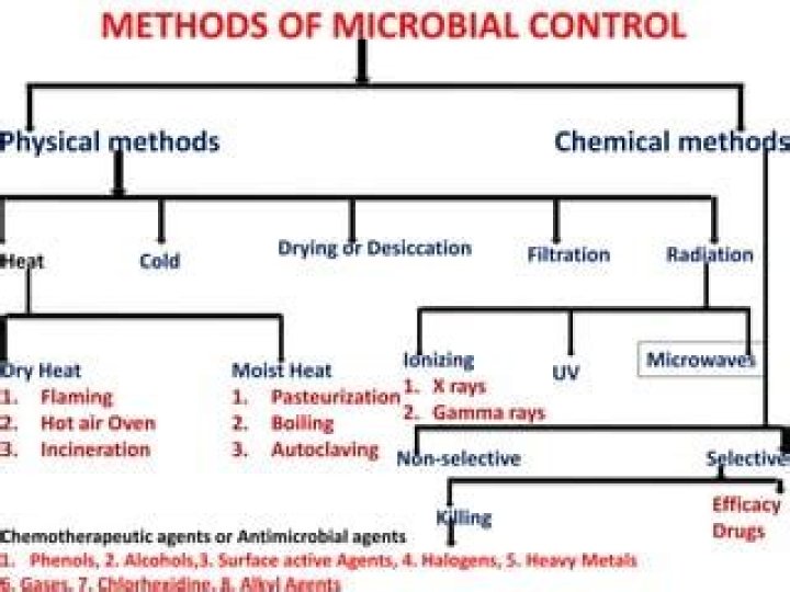 What are the chemical methods of microbial control?