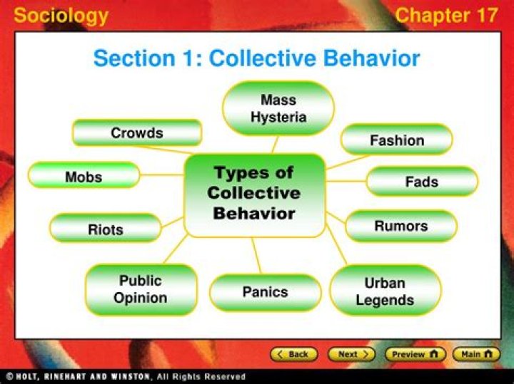 What are the different types of collective behavior