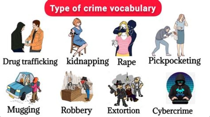 What are the different types of crime scenes?