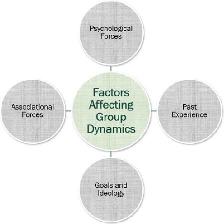 What are the factors affecting group dynamics