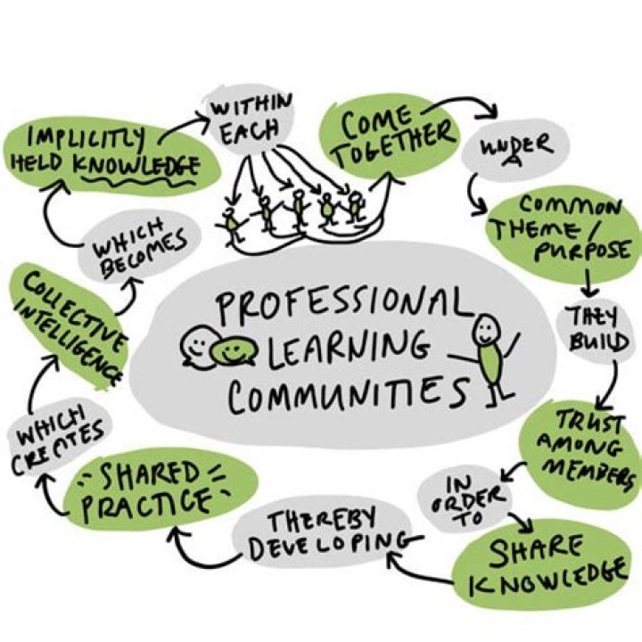 What are the five components of professional learning communities