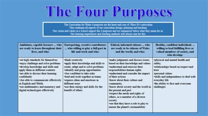 What are the four 4 purposes of meaningful use?