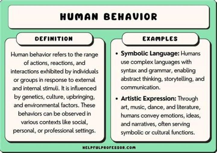 What are the human behavior theories