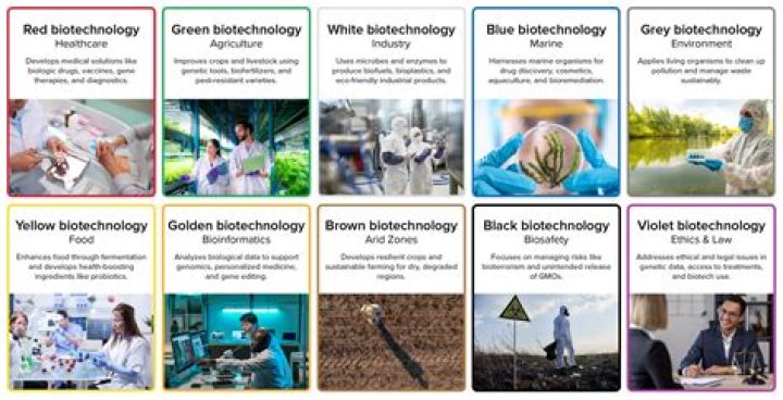 What are the job opportunities for biotechnology in Canada?