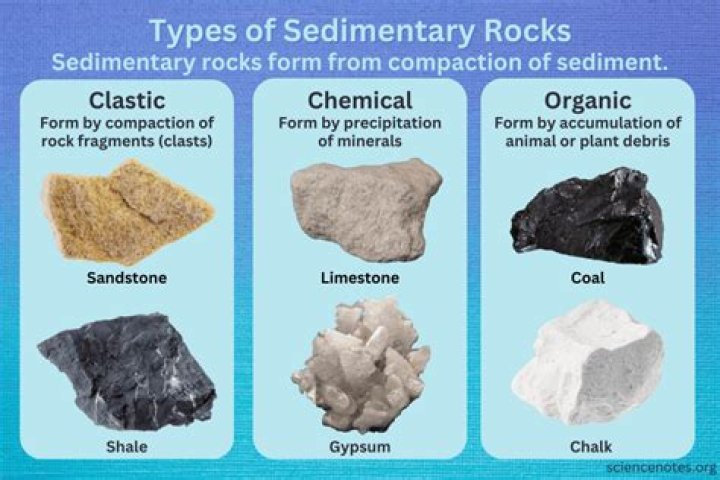 What are the layers of sedimentary rock called