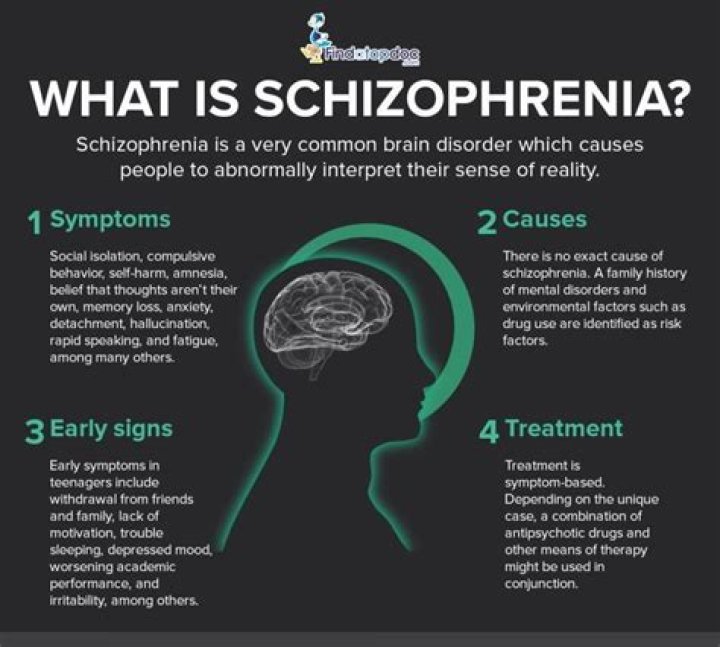 What are the main causes of schizophrenia?