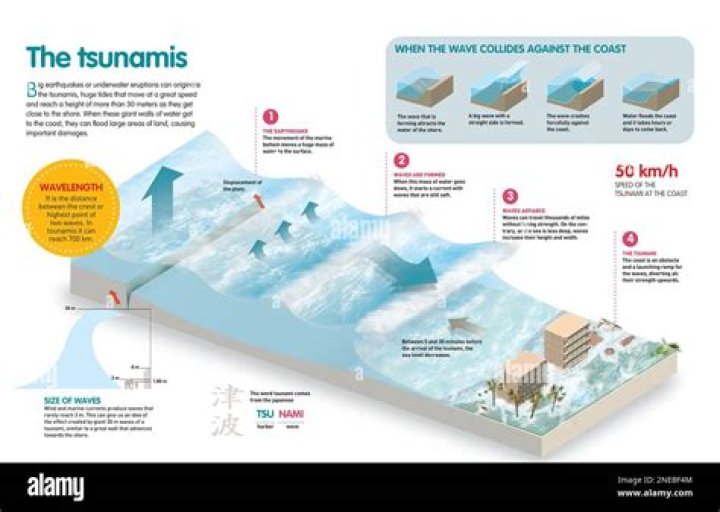 What are the positive effects of a tsunami?