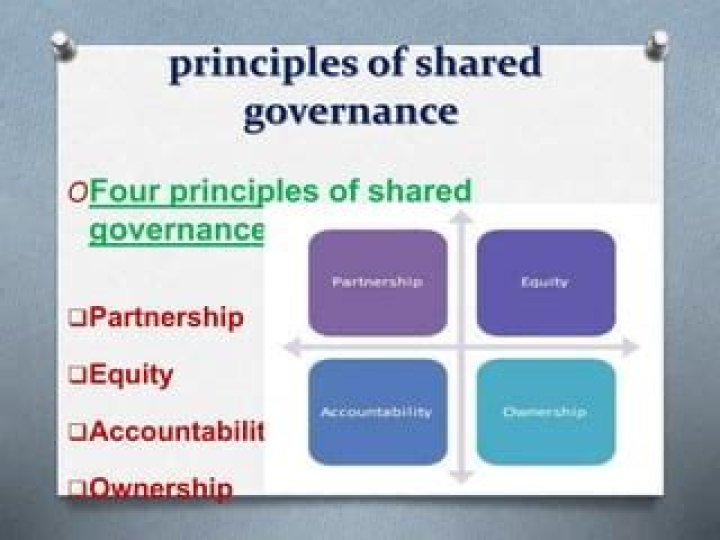 What are the principles of shared governance