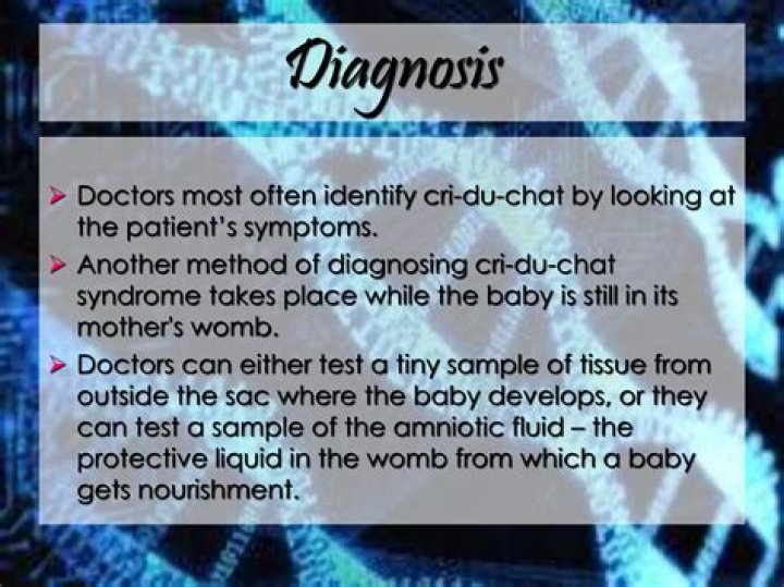 What are the symptoms of cri du chat syndrome?