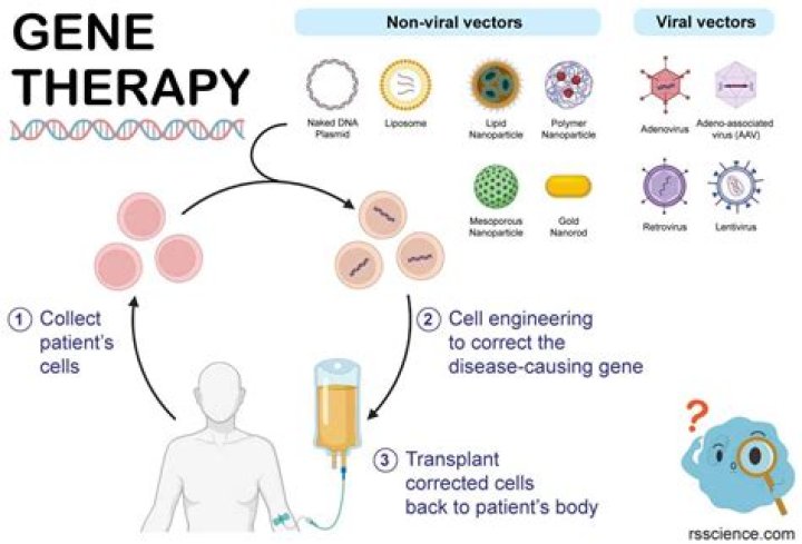 What are the types of gene therapy