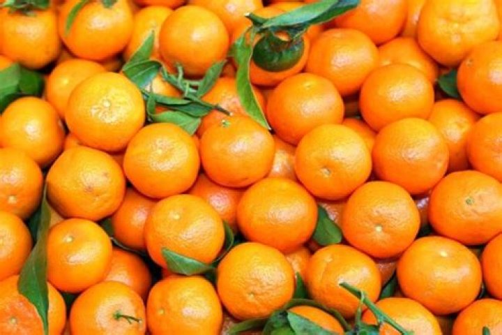 What are those small oranges called?