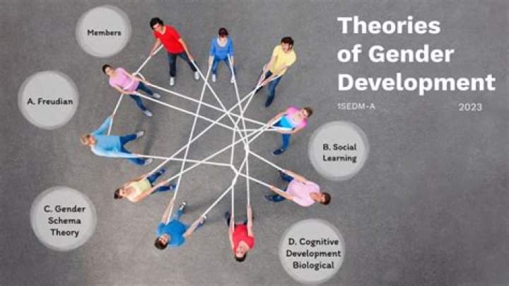 What are three social theories of gender?