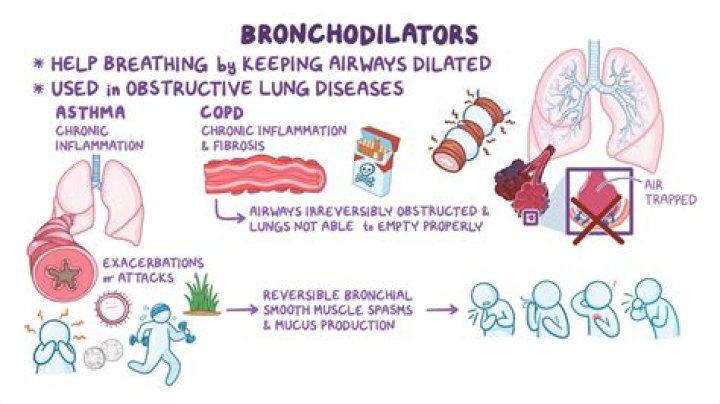 What are two of the most common side effects of bronchodilators
