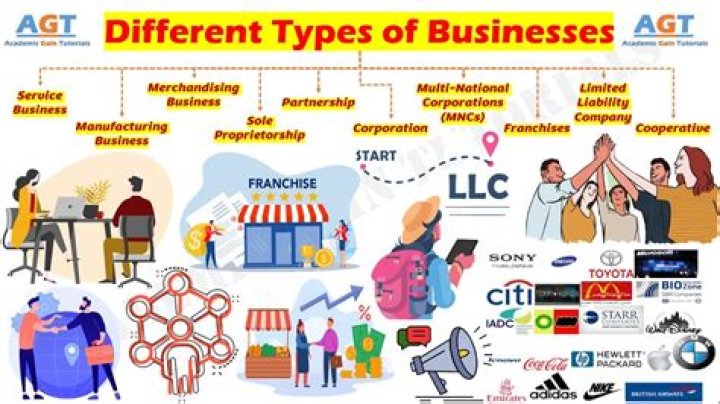 What are type of business in DTI?