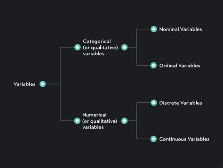 What are variables in criminal justice?
