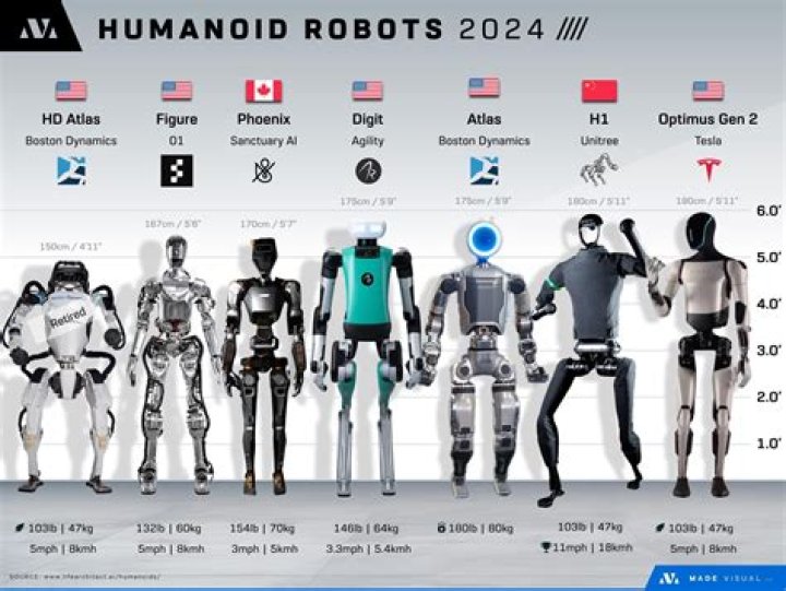 What can humanoid robots be used for?