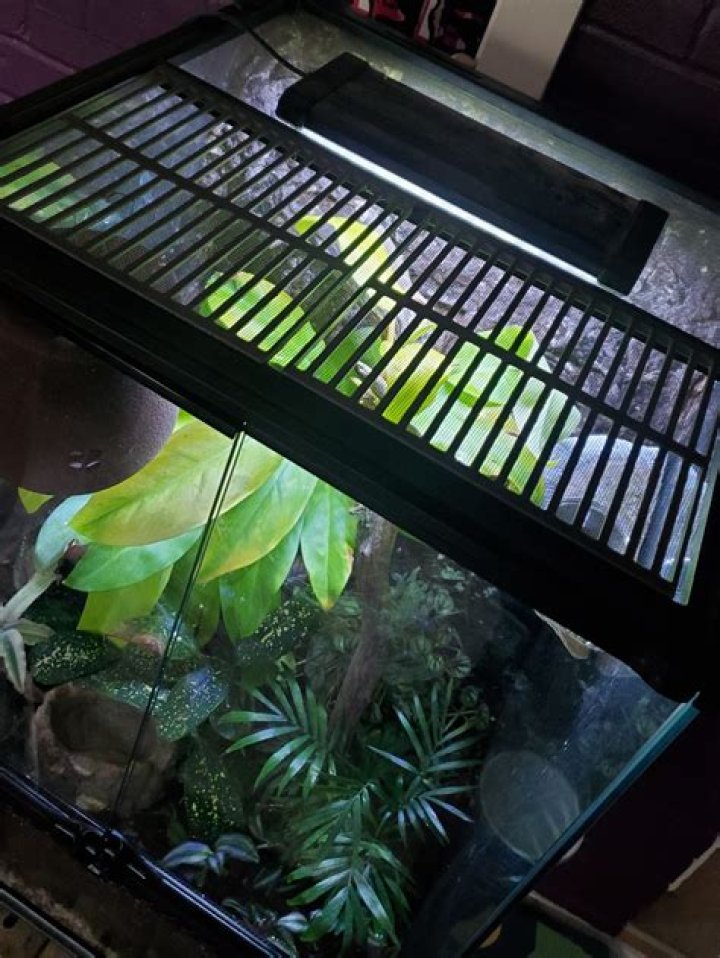 What can I use to clean boots