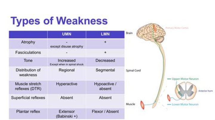 What causes early morning weakness?