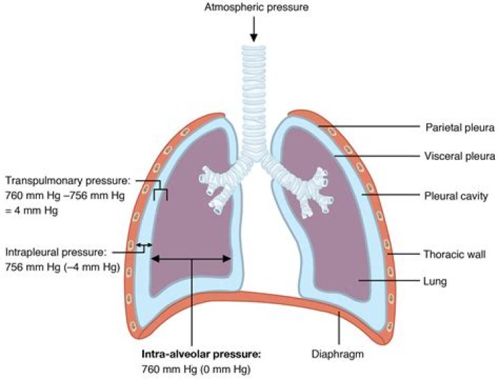 What causes intrathoracic pressure