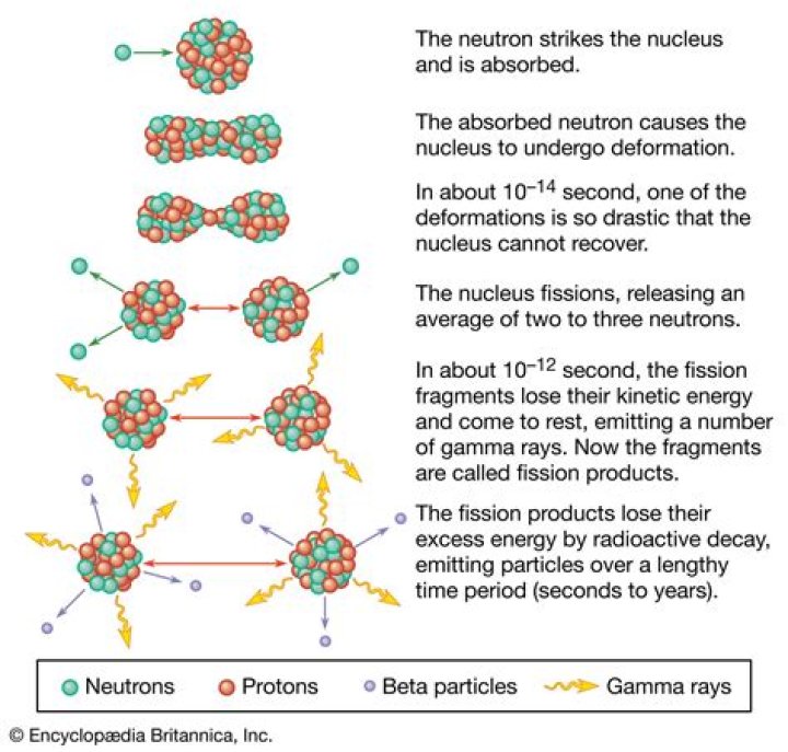 What causes nuclear fission chain reactions to be possible?