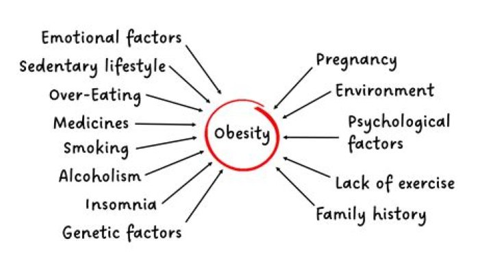 What causes overweight and obesity?