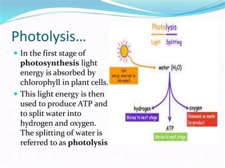 What causes photolysis of water?