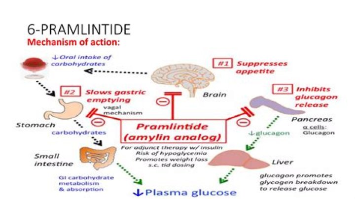 What class of drug is pramlintide