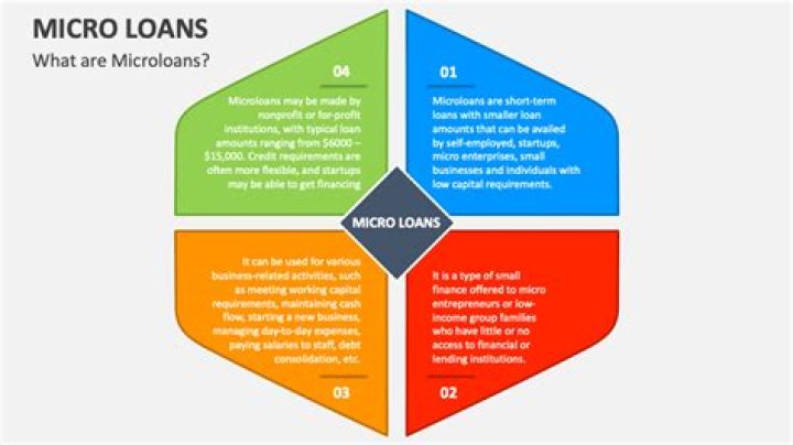 What companies offer microloans?