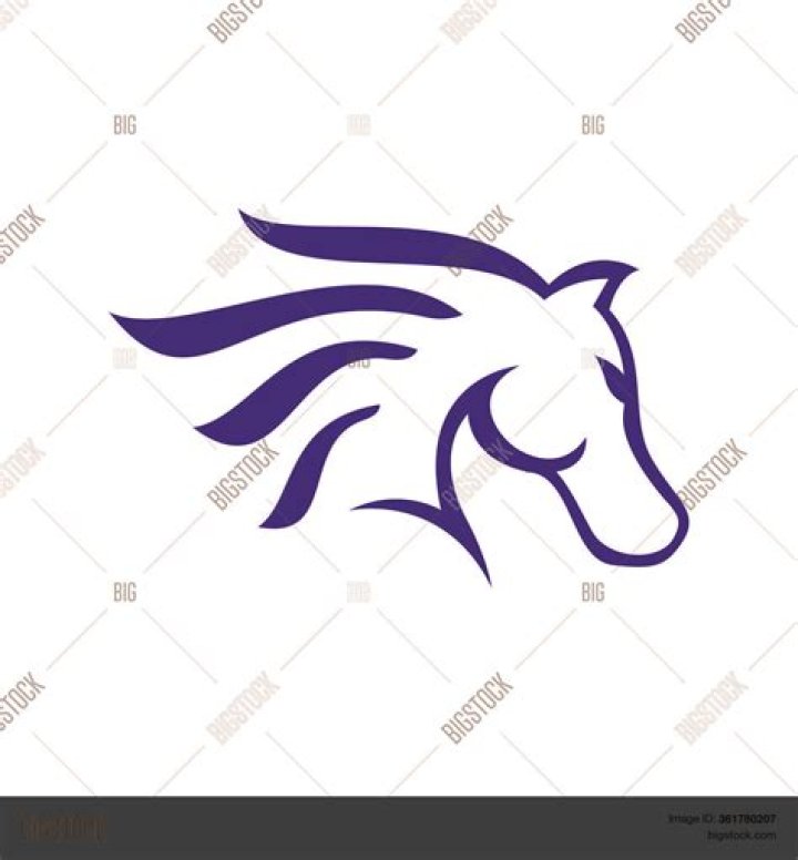 What company has a black horse logo?