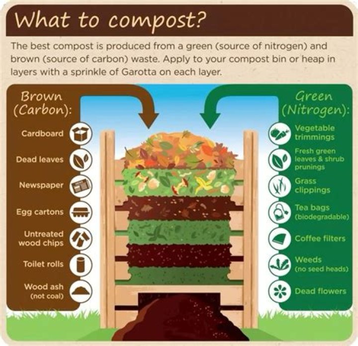 What compost is best for Magnolias
