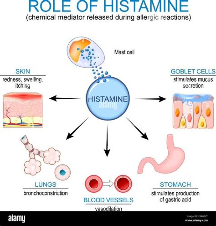 What controls histamine release