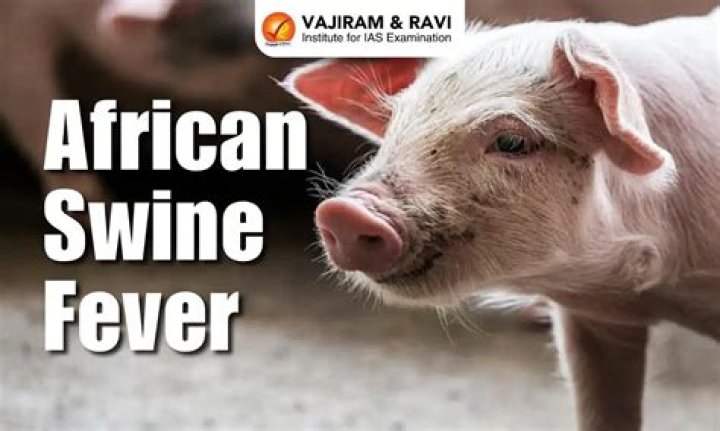 What countries are affected by African Swine Fever?