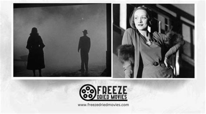 What defines a film noir?