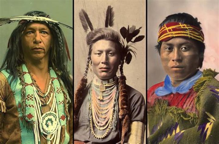 What did the Native Americans use bison for