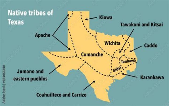 What did the Occaneechi tribe live in?