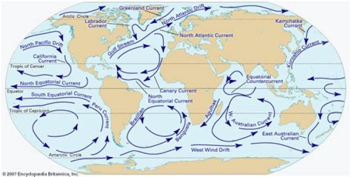 What direction do the equatorial currents flow Why do they flow in this direction?