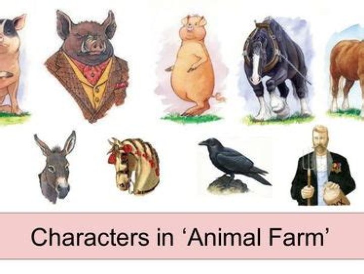 What do characters in Animal Farm represent?