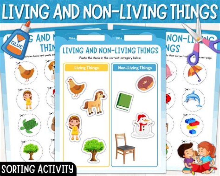 What do living and non living things have in common?