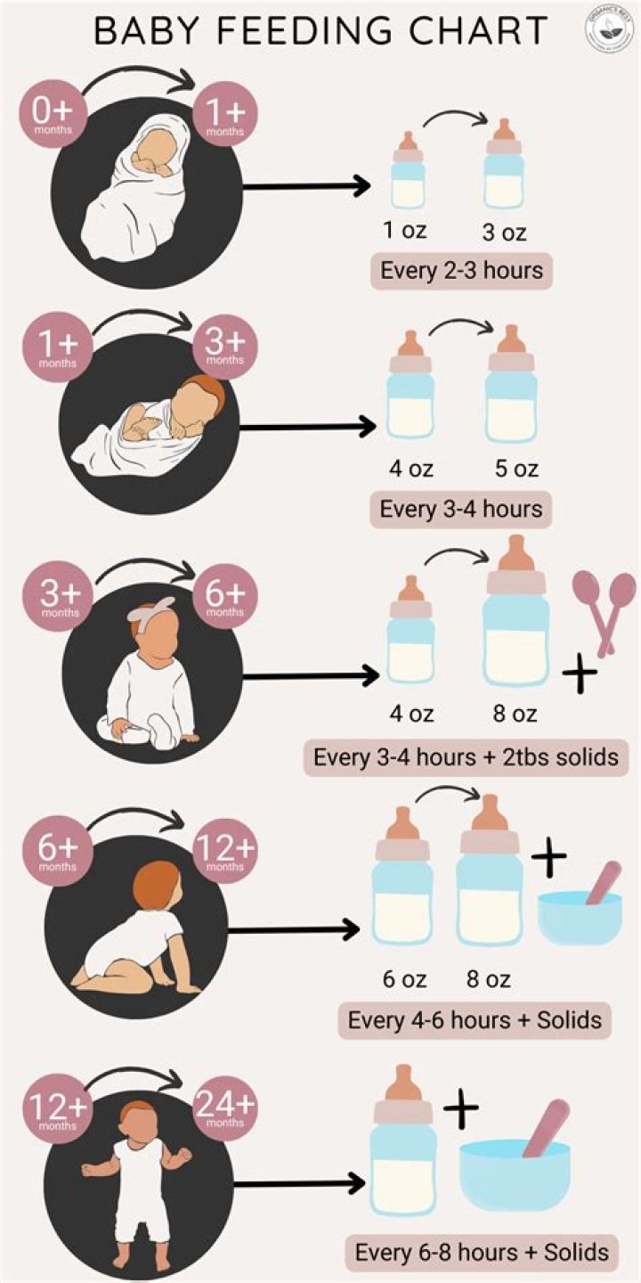 What do you feed a baby goose?