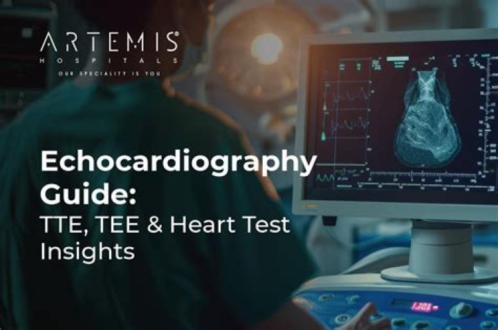 What does a negative echocardiogram mean?