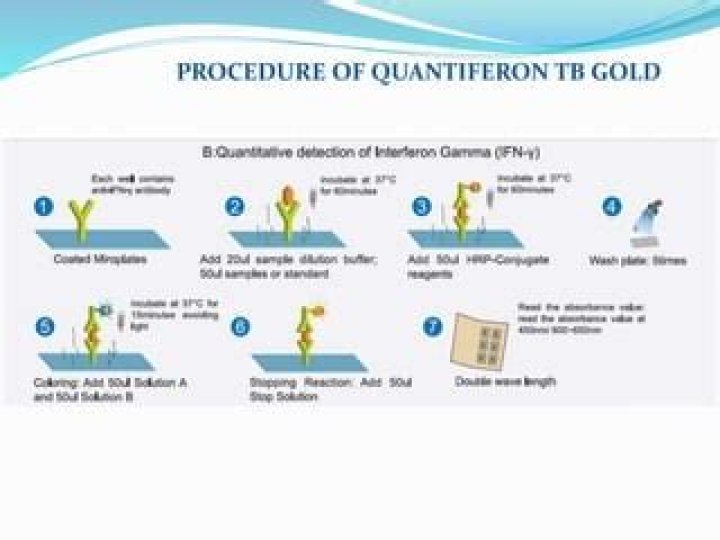What does a positive TB QuantiFERON test mean?