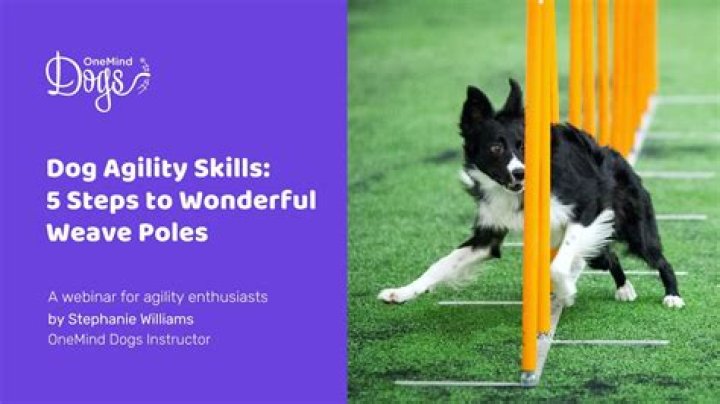 What does agility do in FFX?