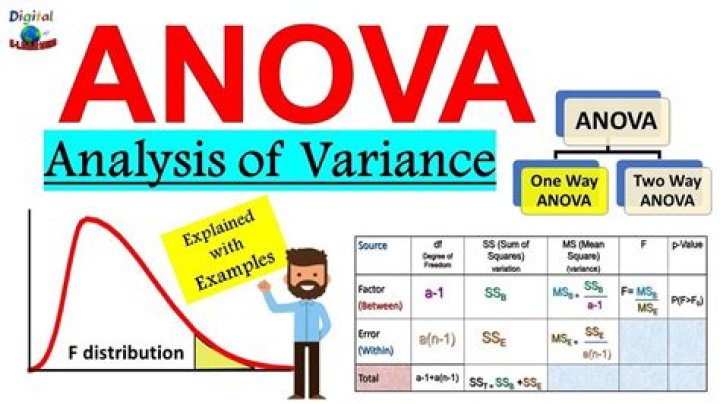 What does Anova do in R?