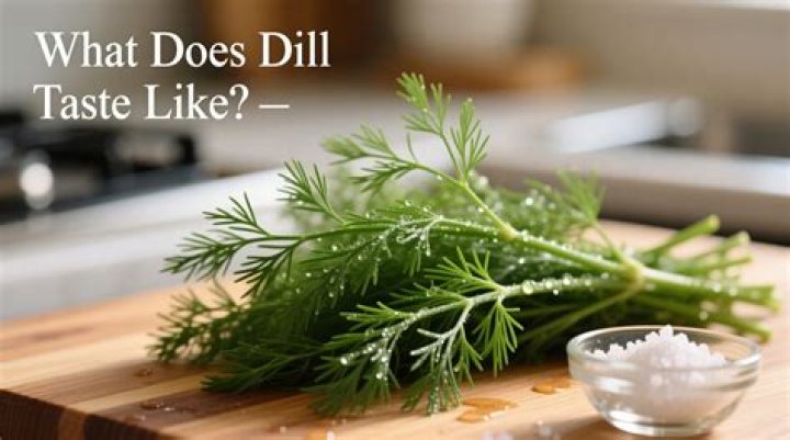 What does being a dill mean
