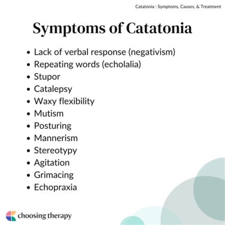 What does being in a catatonic state mean?