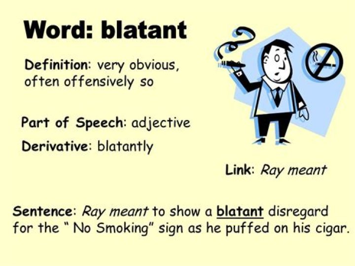 What does blatantly ignorant mean?