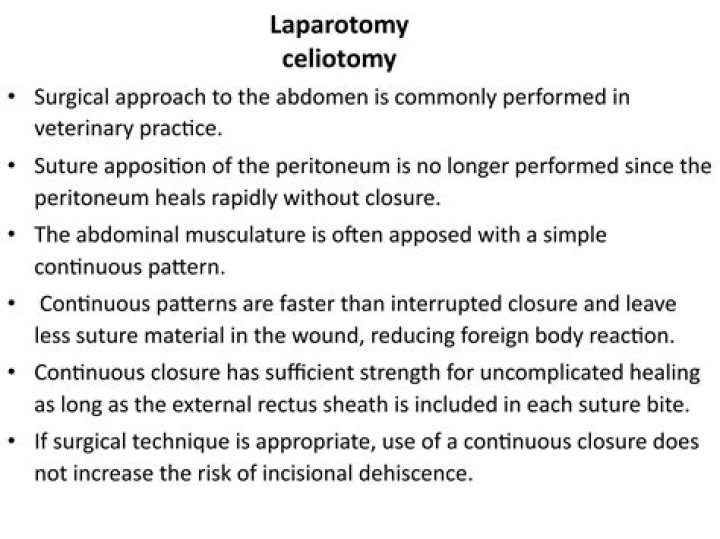What does Celiotomy mean? | ContextResponse.com
