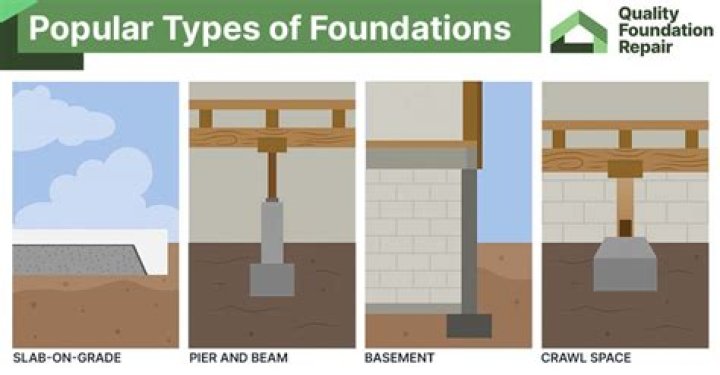What does Foundation bred mean?
