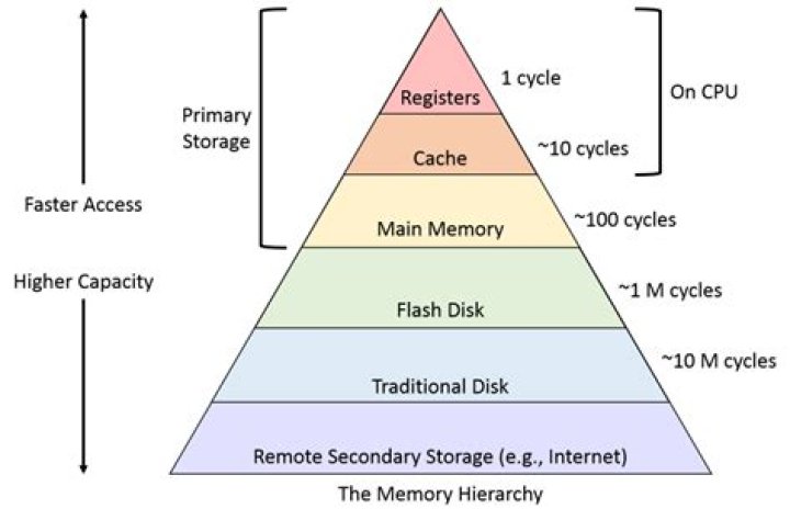 What does memory of a goldfish mean?