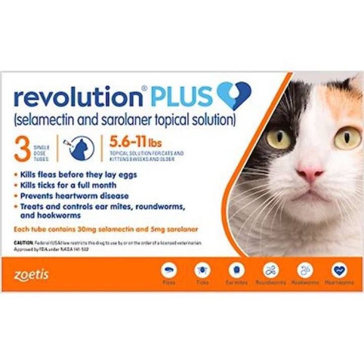 What does revolution treat in cats?
